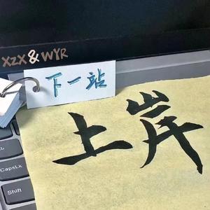 男生插女生阴道视频
