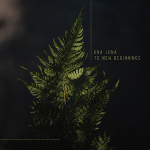 男生插女生阴道视频
